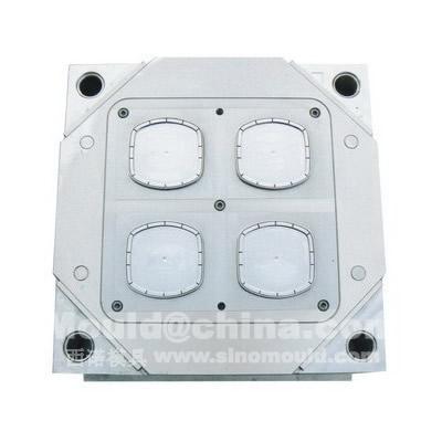 iml mould_551